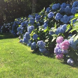 Meet your Posher, Kaitlin